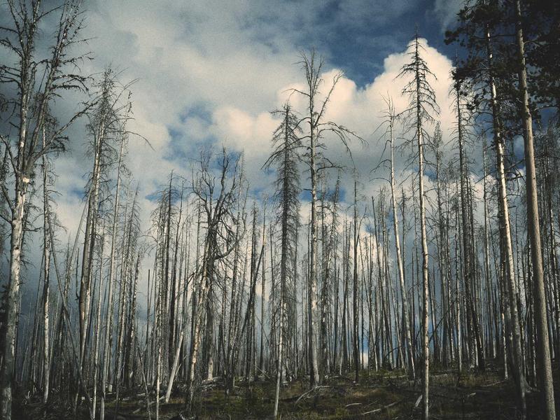 收纳整理师<br>kclfxfu.cn 空间魔法改造
